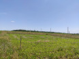 участок ИЖС на Ростовский переулок
, 0 кв м в Ростове-на-Дону - фото 3